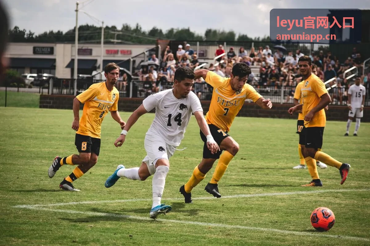 leyu官网入口比分速递